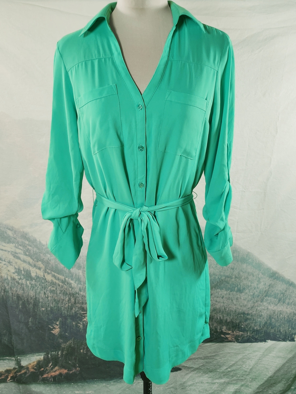 Express Portofino Shirt Dress in Seafoam Green XS
